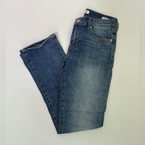 Banana Republic Classic Straight Leg Jeans - 25